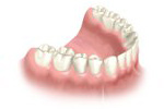 lower arch of teeth graphic